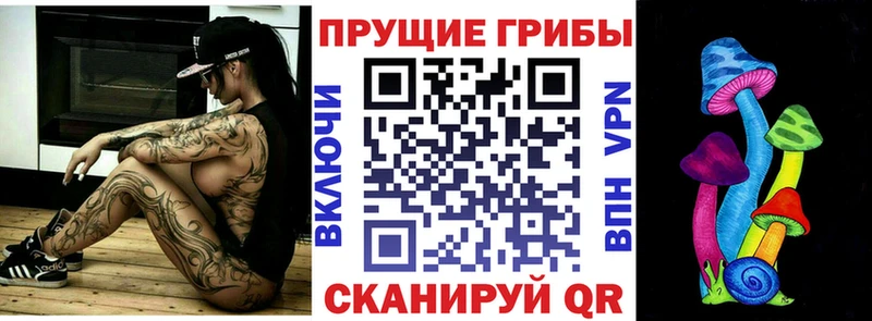 ОМГ ОМГ сайт  Ленинградская  Псилоцибиновые грибы Psilocybe 